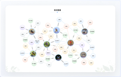 青海鳥類資源庫網站設計、交互設計、UI設計、鳥類資源庫網站設計、高端網站設計