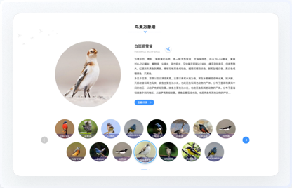 青海鳥類資源庫網站設計、交互設計、UI設計、鳥類資源庫網站設計、高端網站設計